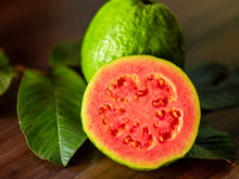 Load image into Gallery viewer, Guava Tree 番石榴树
